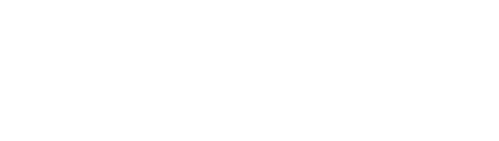 Anagenix Logo